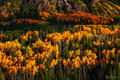 La Manga Pass Autumn #5