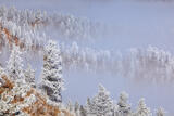 Stacked Ridges & Fog