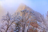 Eldo Fog #1