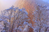 Eldo Fog #2