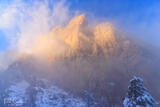 Eldo Fog #4
