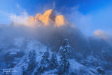 Eldo Fog #5