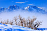 Flatirons Fogbank