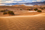 Wind-Swept Dunes