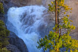 Cascades on Cascade Creek