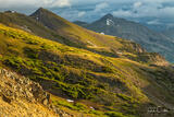 Stormy Morning in Ptarmigan Gulch