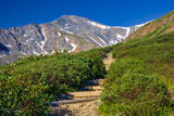 Grays Peak Trail View