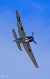 TBM Avenger