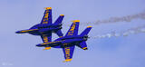 Blue Angels