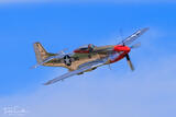 P-51D Mustang 'Stang Evil