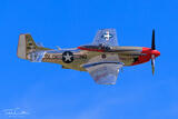 P-51D Mustang 'Stang Evil