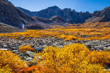 McCullough Gulch Golden Willows