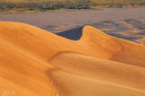 Dune Swirl