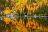 Autumn Forest Reflection (horizontal)