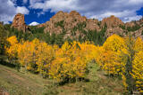 Fall Colors at Cathedral Park