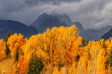 Stormy Autumn in the Teton Range