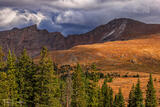 Mount Bierstadt Golden Tundra