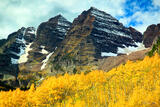 Maroon Bells Autumn Aspens