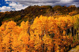 La Manga Pass Autumn #2