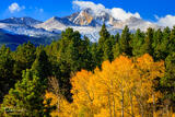 Autumn Gold Below Longs Peak