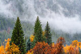 Fog and Rain Along Anthracite Creek