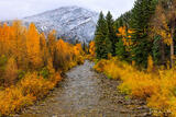 Along Anthracite Creek
