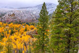Above Anthracite Creek