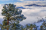 Above the Clouds on Lookout Mountain