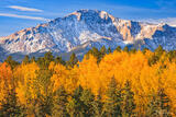 Autumn Aspens Below Pikes Peak's North Face