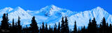 Twilight Panorama