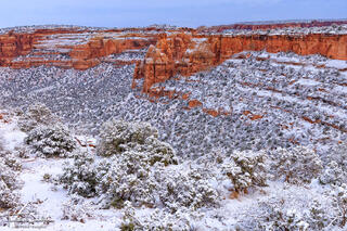 Canyon Snow