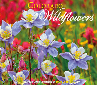Colorado Wildflowers (hardcover)