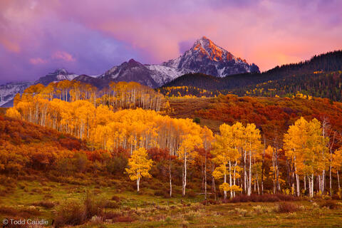 Mount Sneffels Autumn Sunset