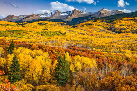 Autumn in the Beckwith Mountains