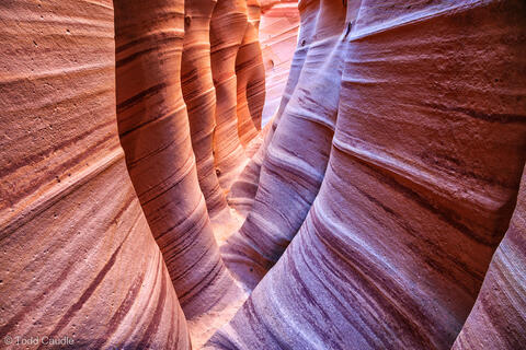 Zebra Slot Canyon