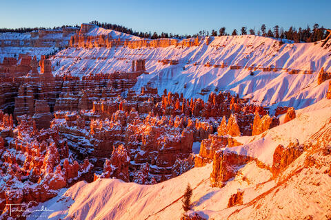 Snowy Sunrise