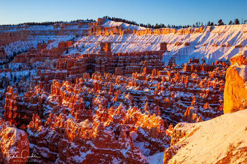 Frigid Sunrise
