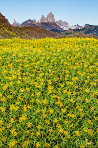 Monte Fitzroy & Mata Barrosa