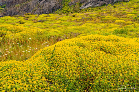 Fields of Mata Barrosa Below Mirador Condor