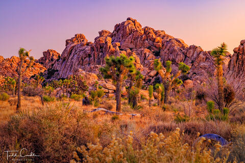 Twilight Colors