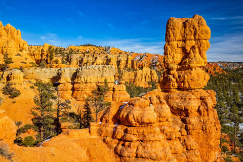 red canyon features many rocks and hoodoos reminiscent of Bryce Canyon, one of utah's big 5 parks nearby.