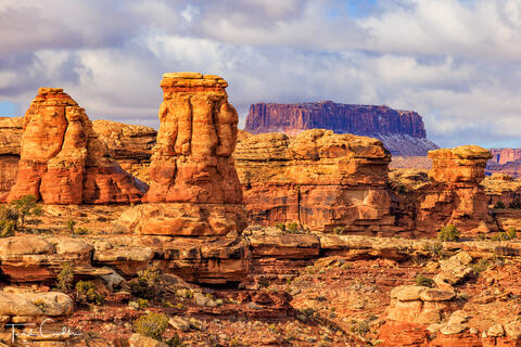 Columns & Mesas