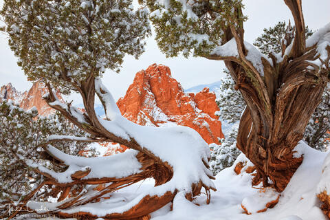One-Seed Juniper Frame & South Gateway Rock