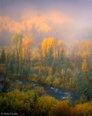Fall Along the San Miguel River