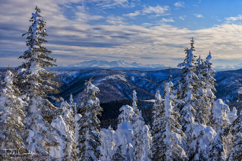 Ray Mountains View
