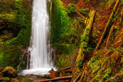 a photo of marymere falls in olympic national park in washington