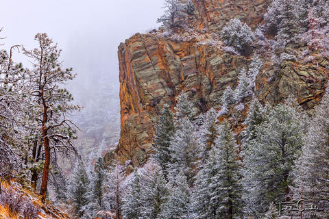 Fog & Snow