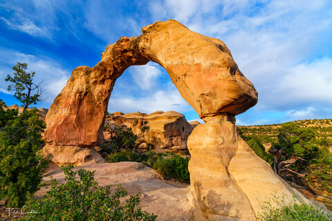 Free-Standing Arch #2