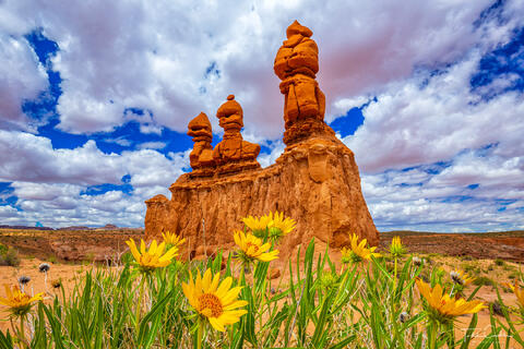 a photo of sandstone formations at goblin valley utah