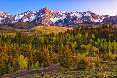 Spring Twilight